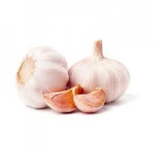 Garlic - young