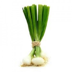 Spring onion (large bulb)