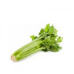 Celery with leaves