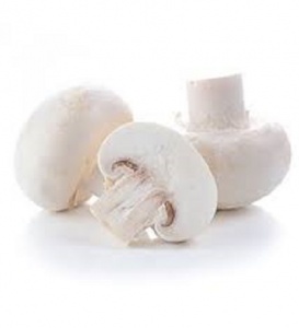 Mushroom - white