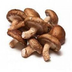 Mushroom - shitakee - preorder
