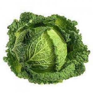 Cabbage - savoy