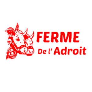 Ferme Androit raclette cheese