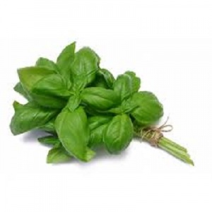 Herbs: basil (bunch)