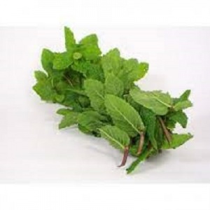Herbs: mint (bunch)