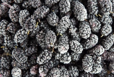 Frozen blackberries 1KG