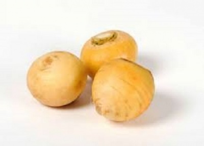 Turnip - gold ball 