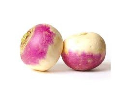 Turnip - round purple variety