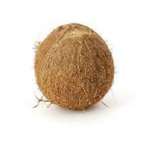 Coconut (preorder)