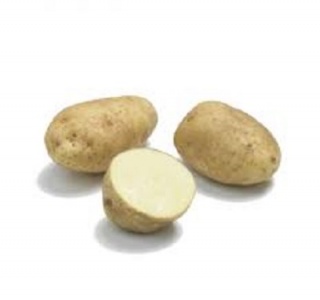 Potato - unwashed bintje