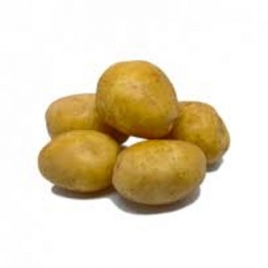 Potato - colomba