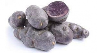 Potato - violet