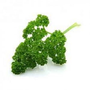 Parsley - curly