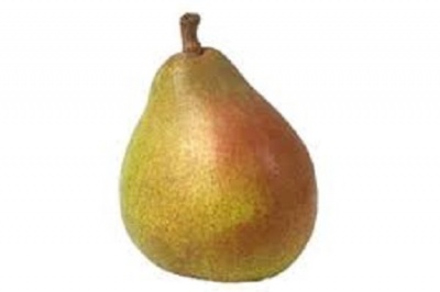 Pear - comice