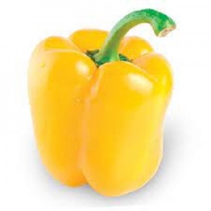 Pepper - yellow