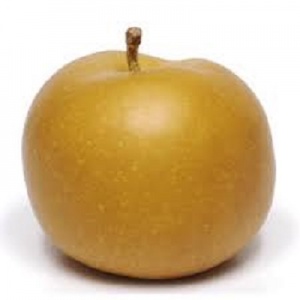 Apple - grey canada 