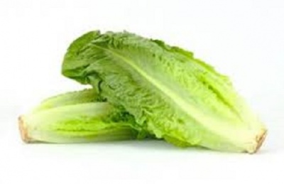 Salad - romain lettuce x 2