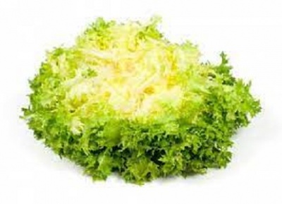 Salad - white curly lettuce