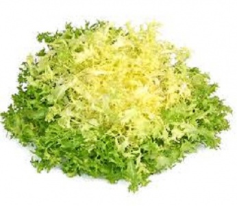Salad - Fine curly lettuce