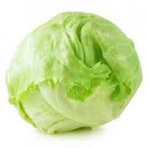 Salad - iceberg lettuce