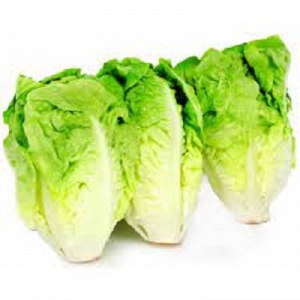 Salad - baby gem lettuce x 6