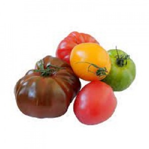 Mixed medley tomatoes